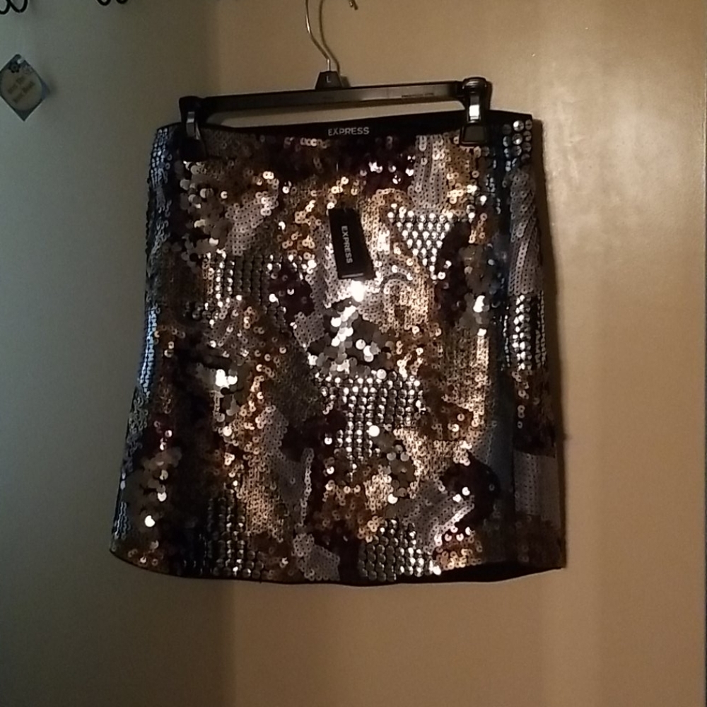 NWT Express Skirt